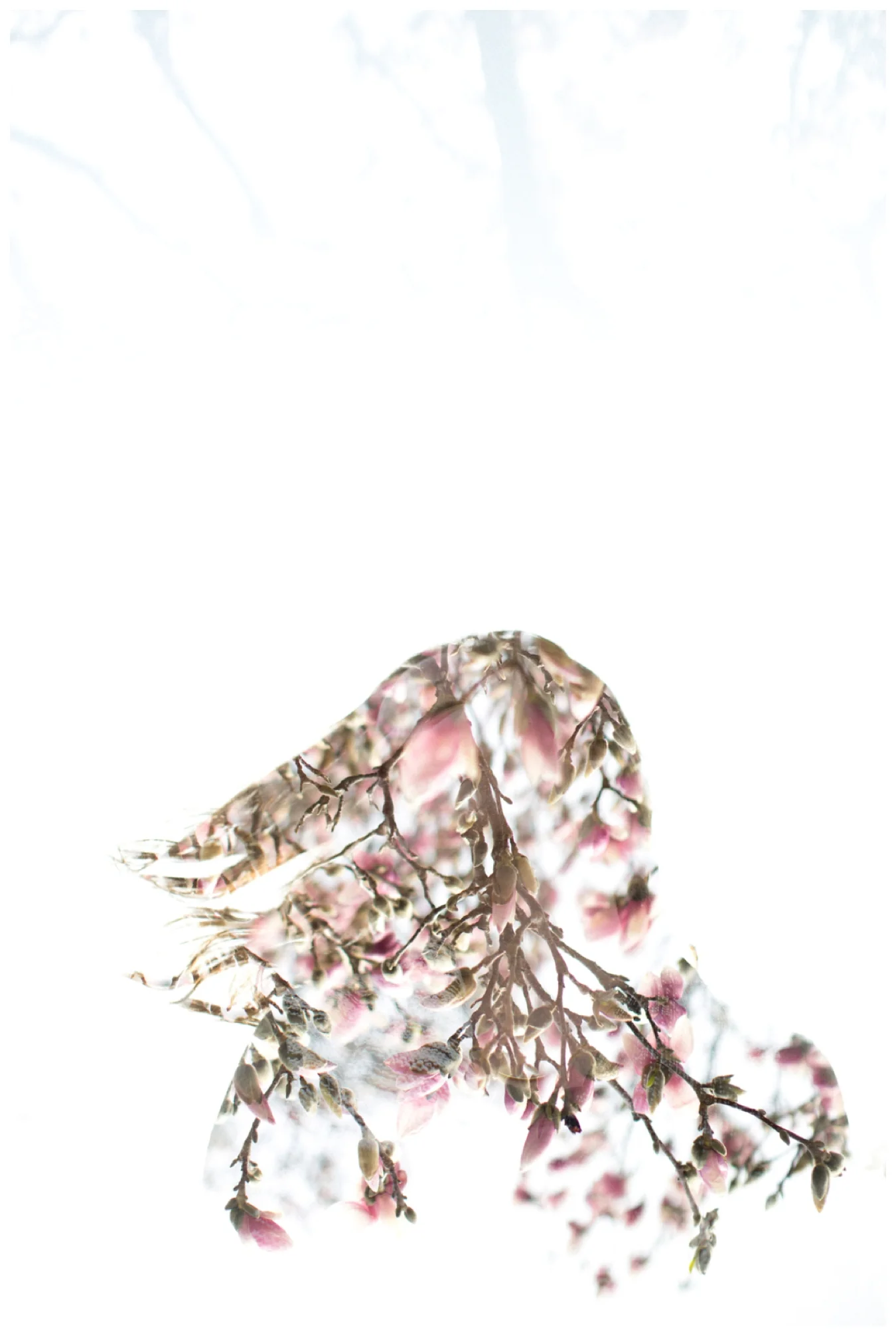 double exposure | lily glass