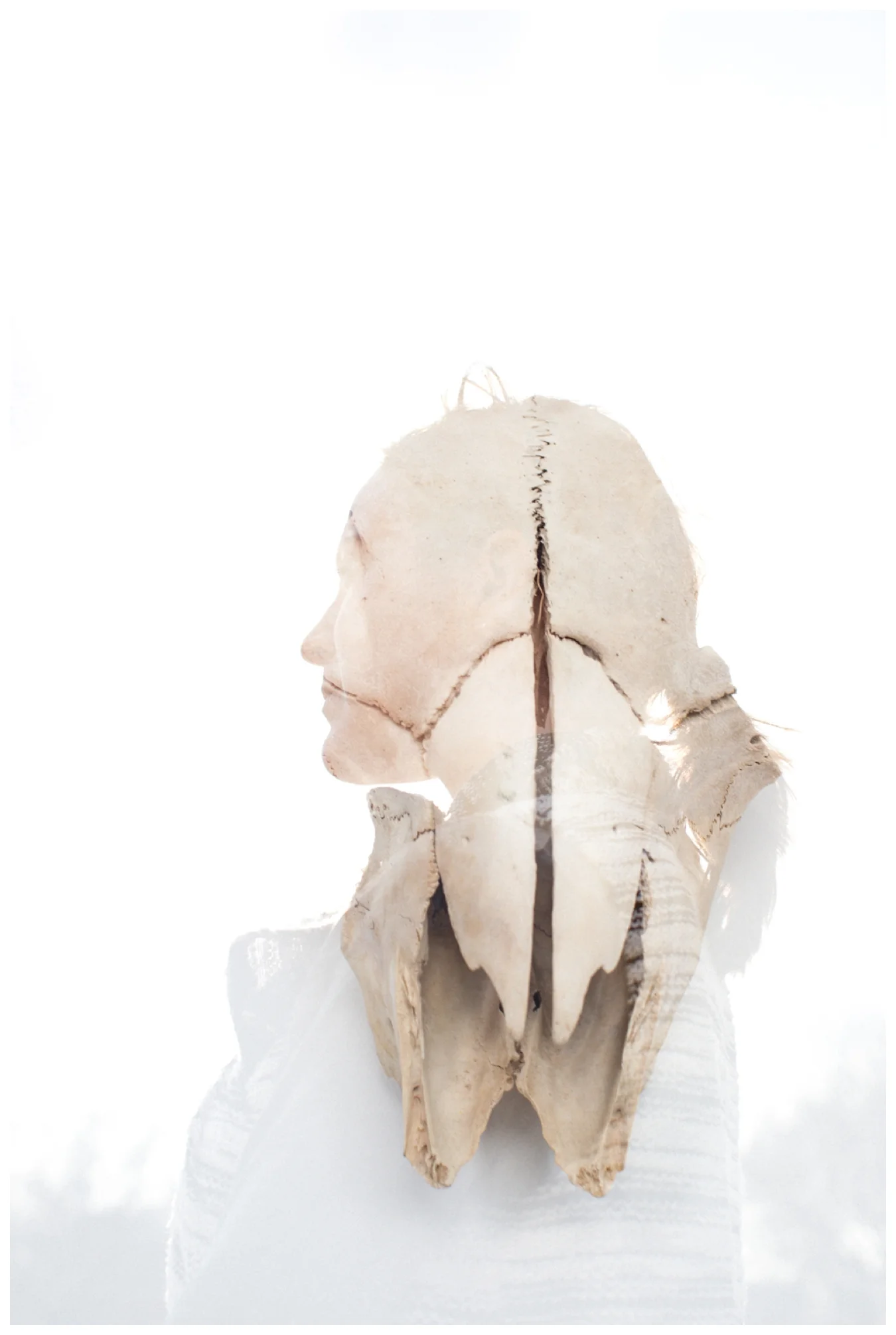 lily glass | double exposure