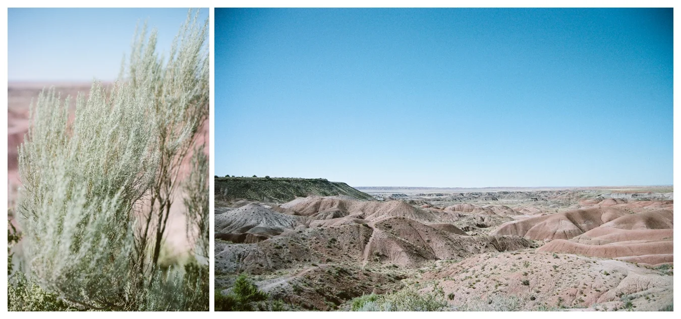 Ohio to L.A. | lily glass 