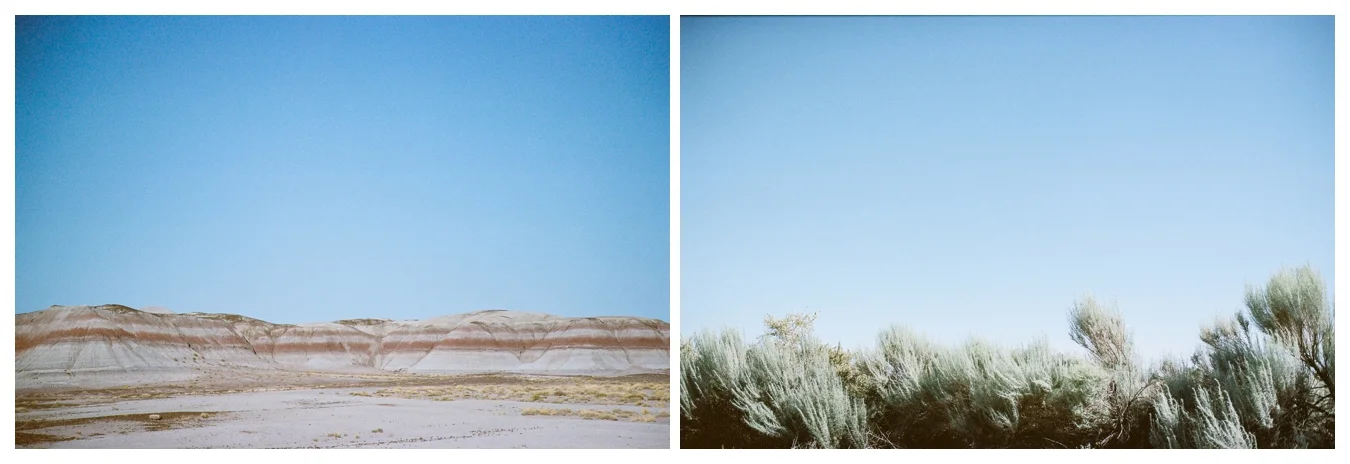 Ohio to L.A. | lily glass 