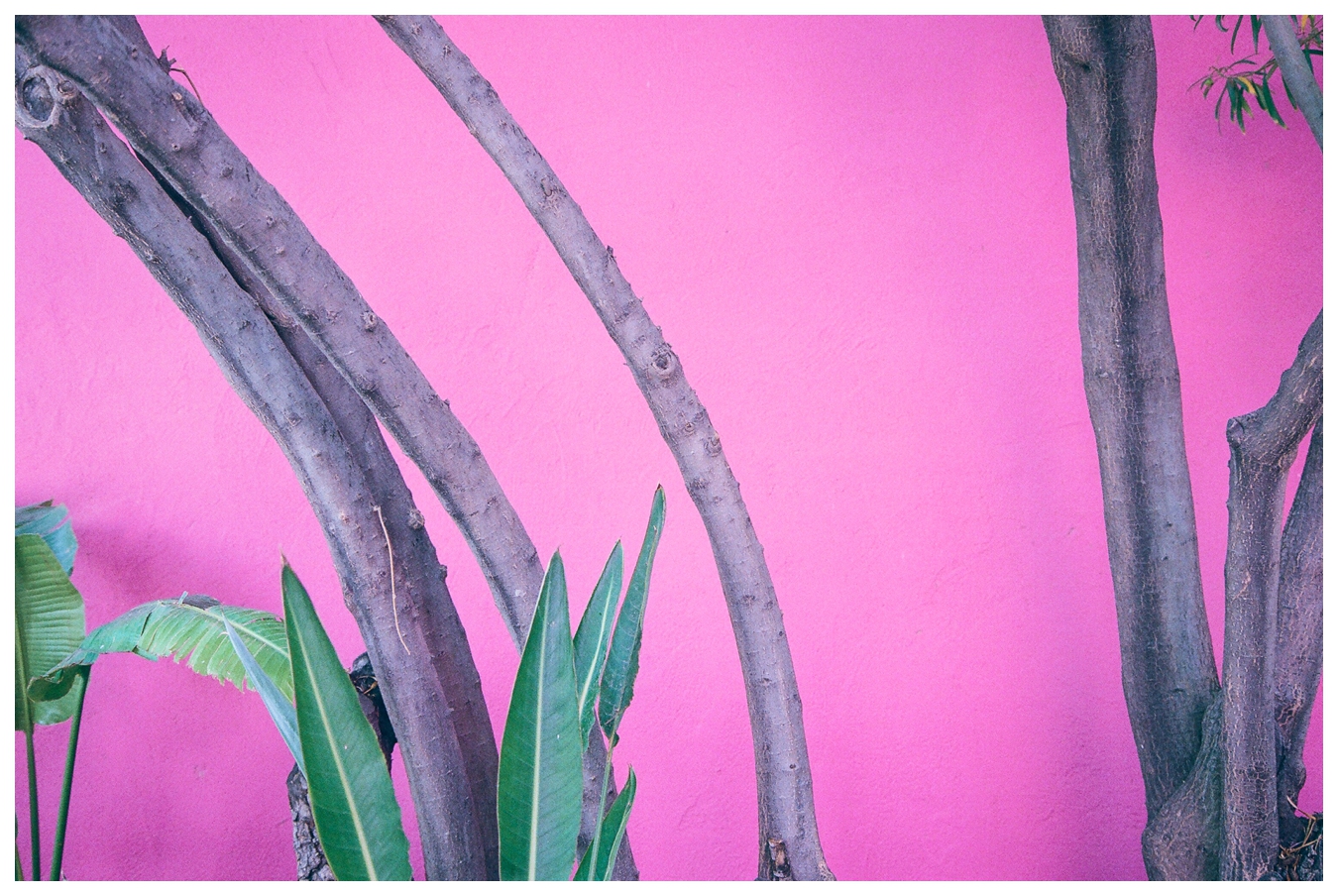 Ohio to L.A. | lily glass 