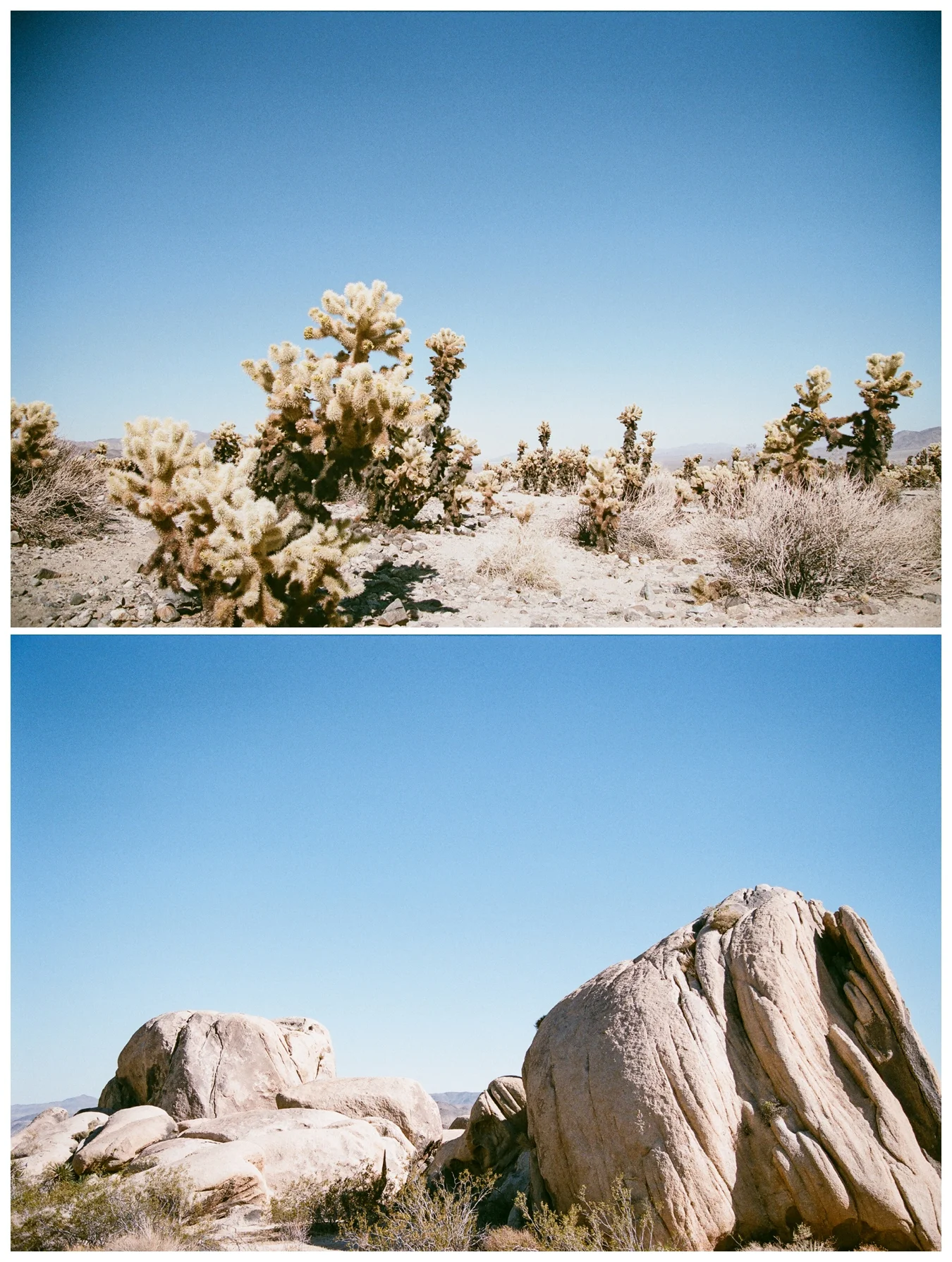 Ohio to L.A. | lily glass 