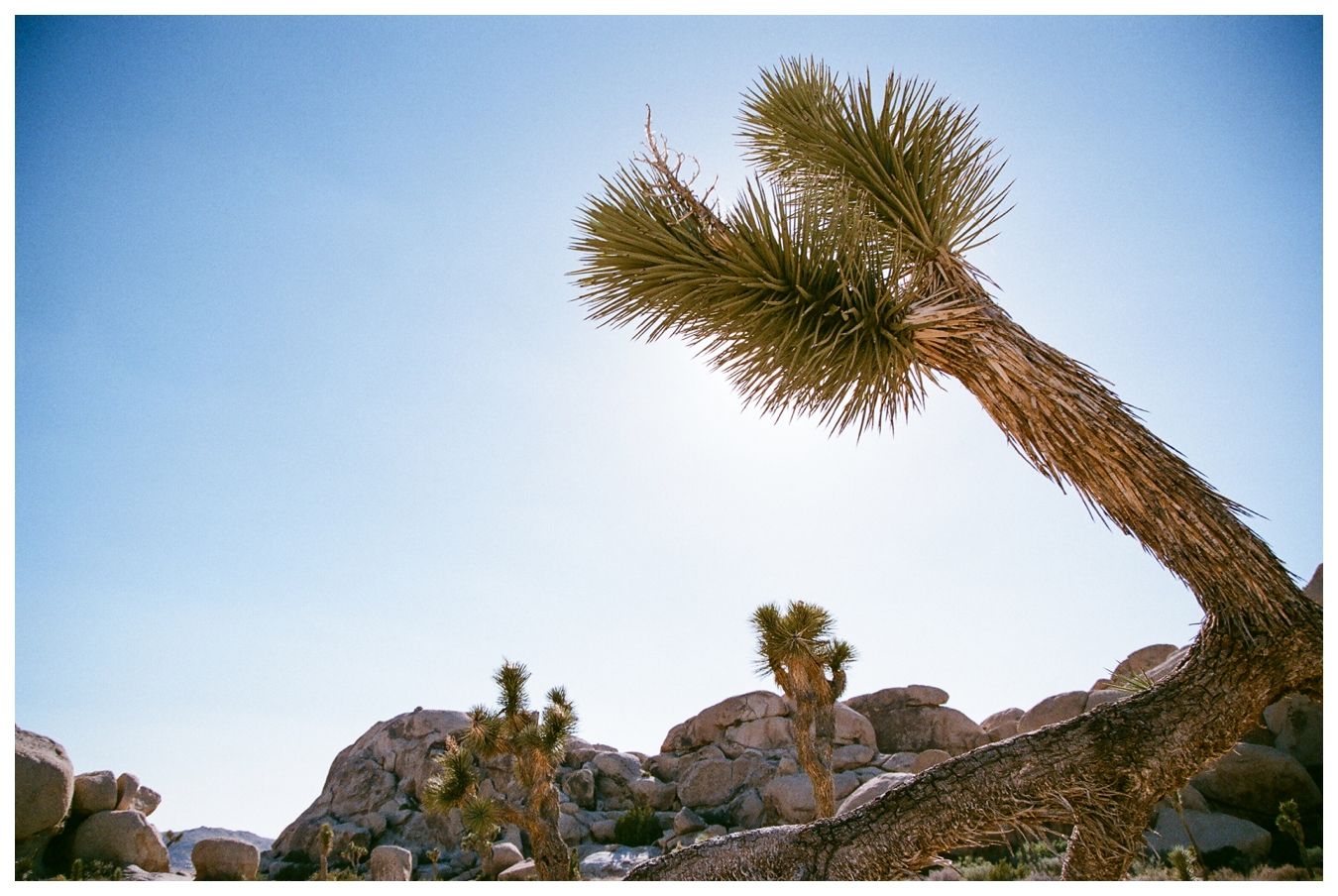 Ohio to L.A. | lily glass 