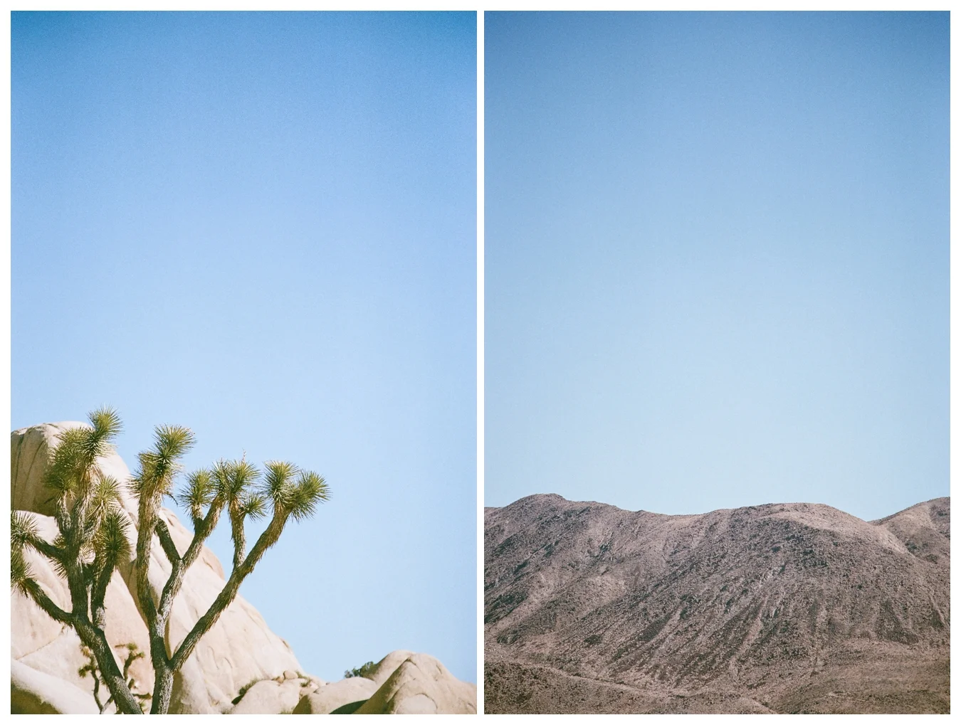Ohio to L.A. | lily glass 