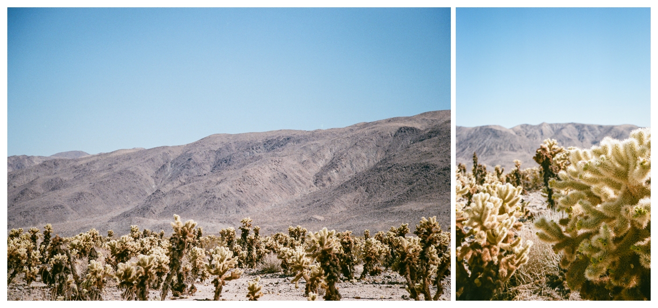 Ohio to L.A. | lily glass 