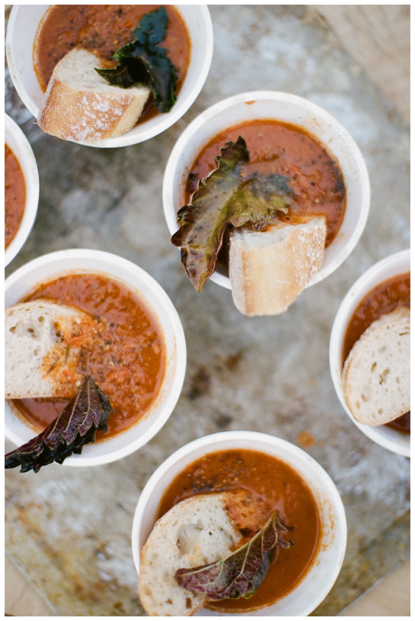 Tomato Soup + Grilled, Grilled Cheese by Ginger+Birch | images by Lily Glass