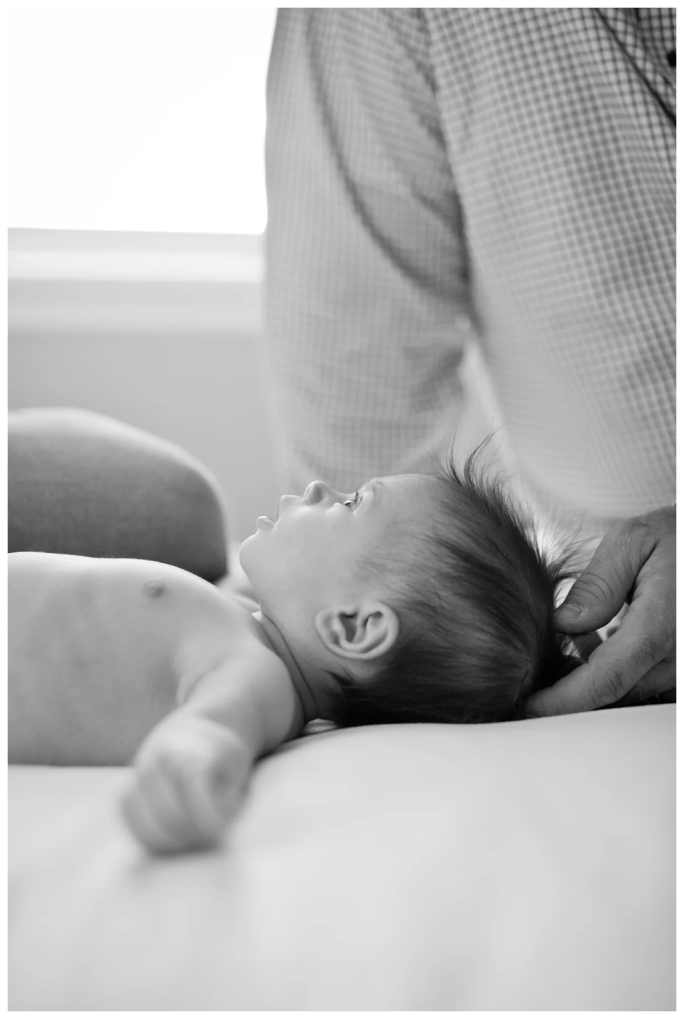 lifestyle family portraits | lily glass