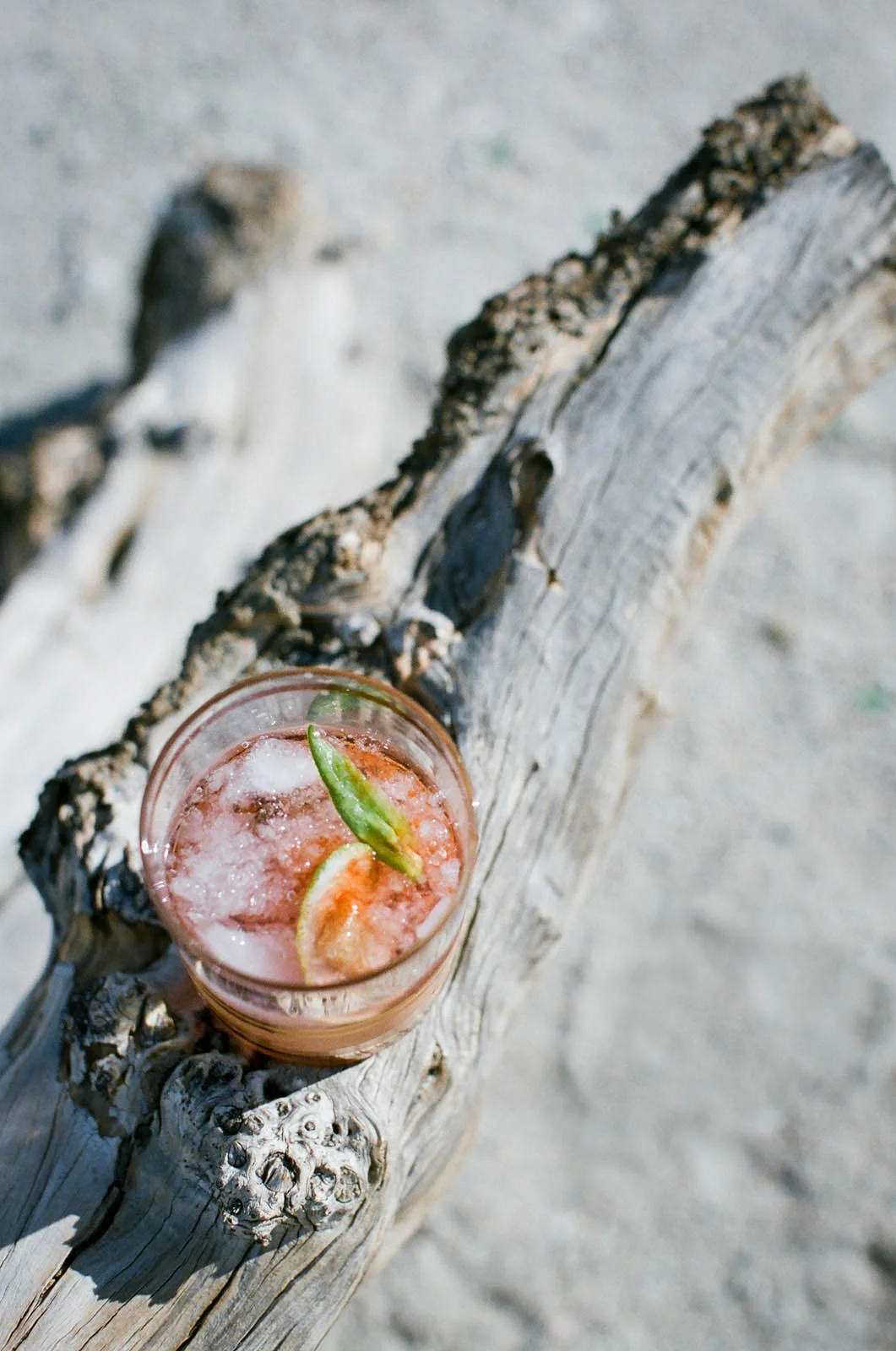 palm springs desert cocktail by ginger + birch | image by lily glass