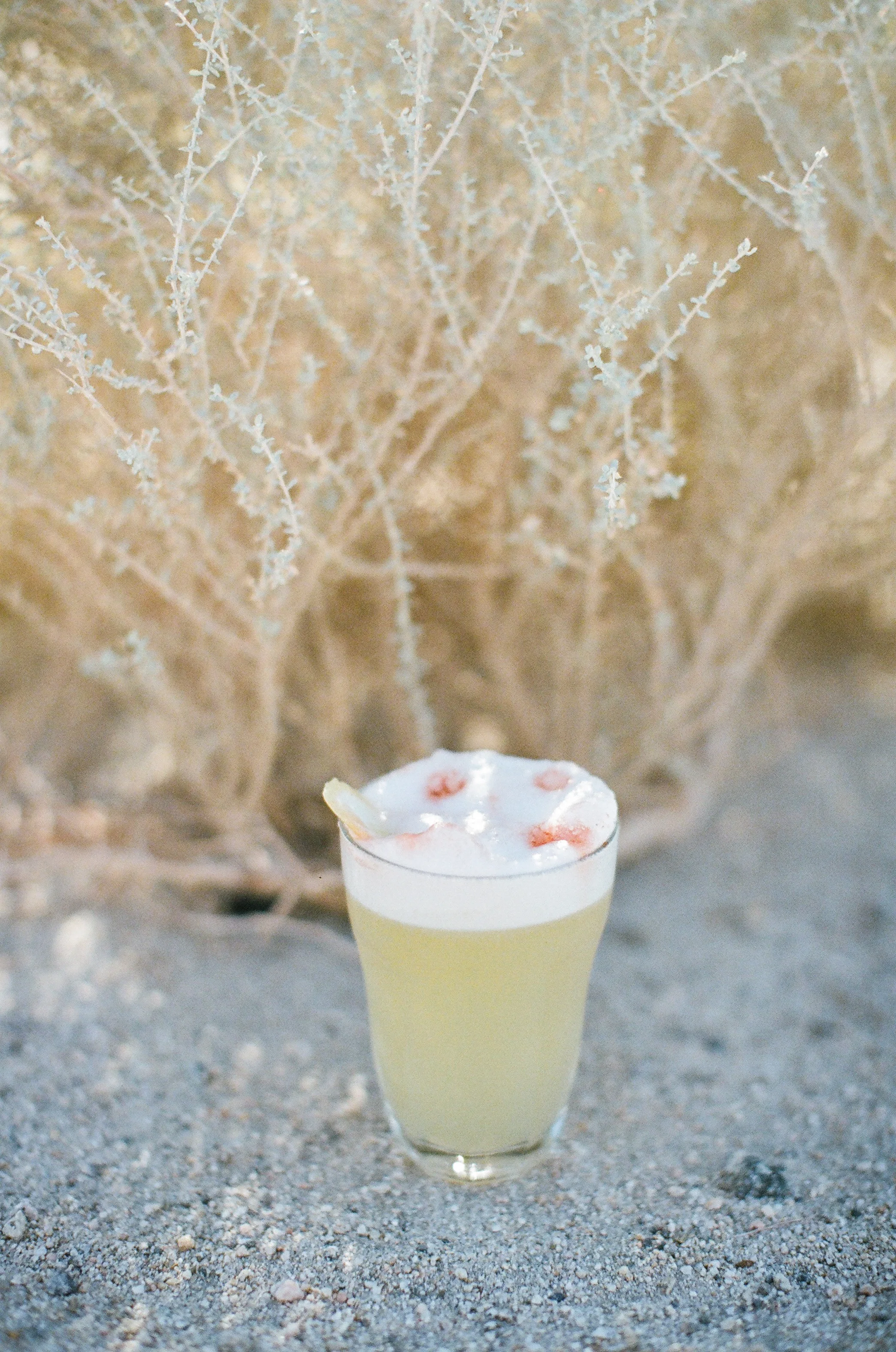 palm springs desert cocktail by ginger + birch | image by lily glass