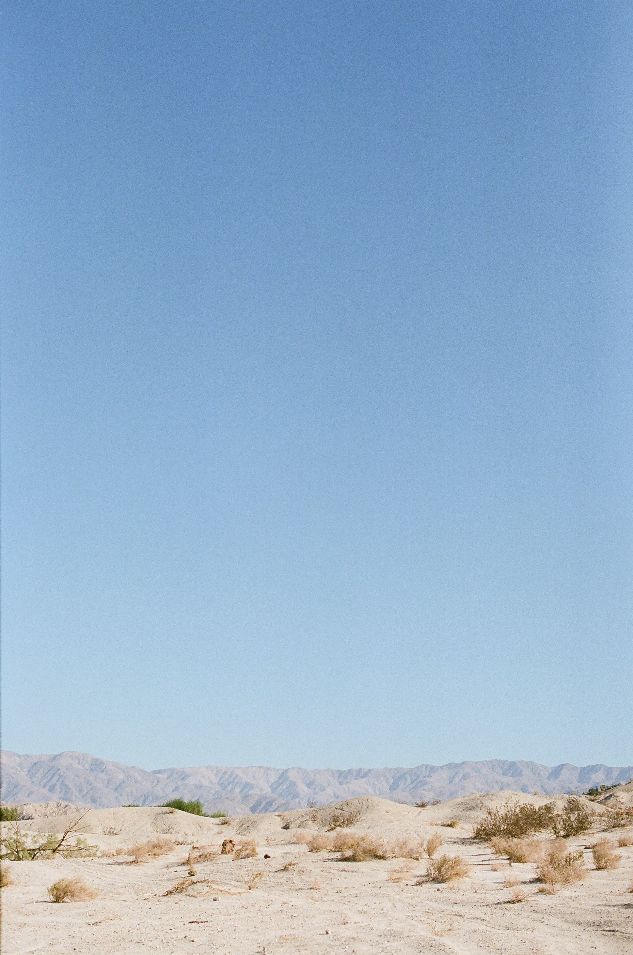 desert colors Palm Springs, California | lily glass