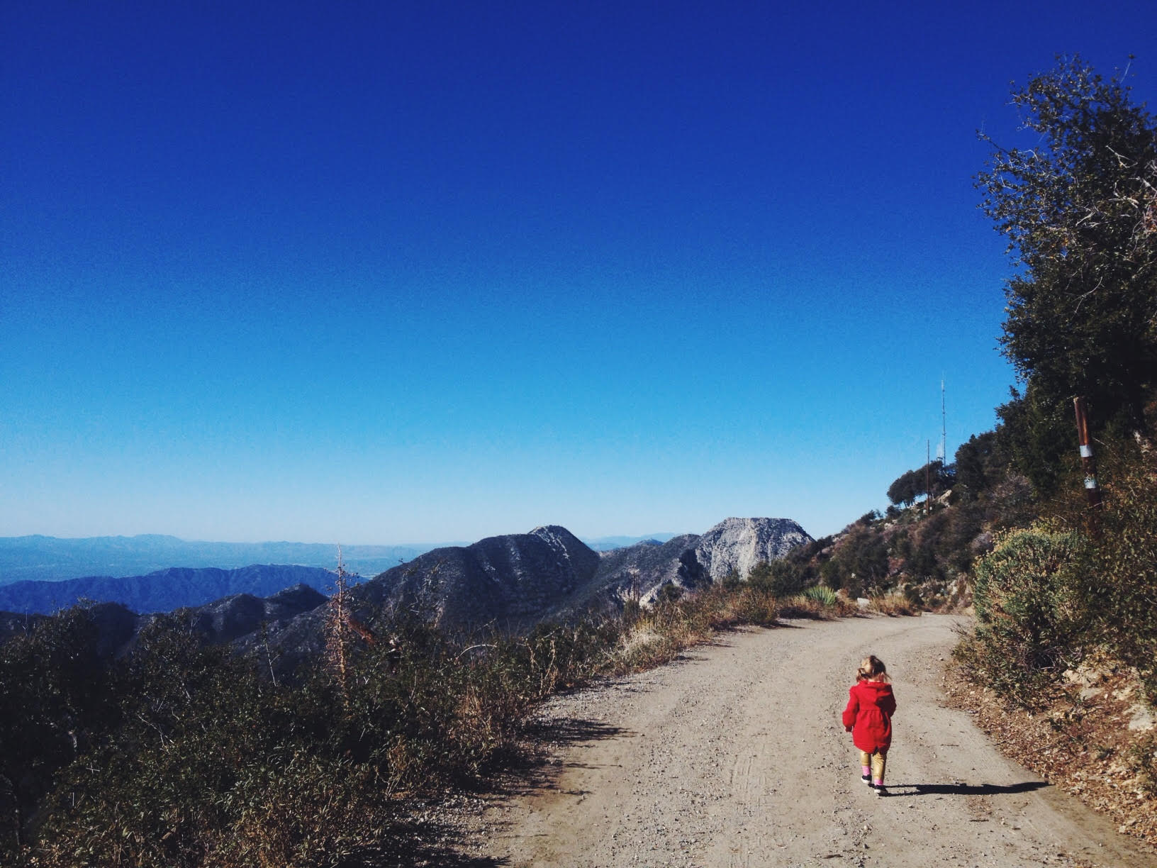 work+life balance as a mama-photographer | lily glass