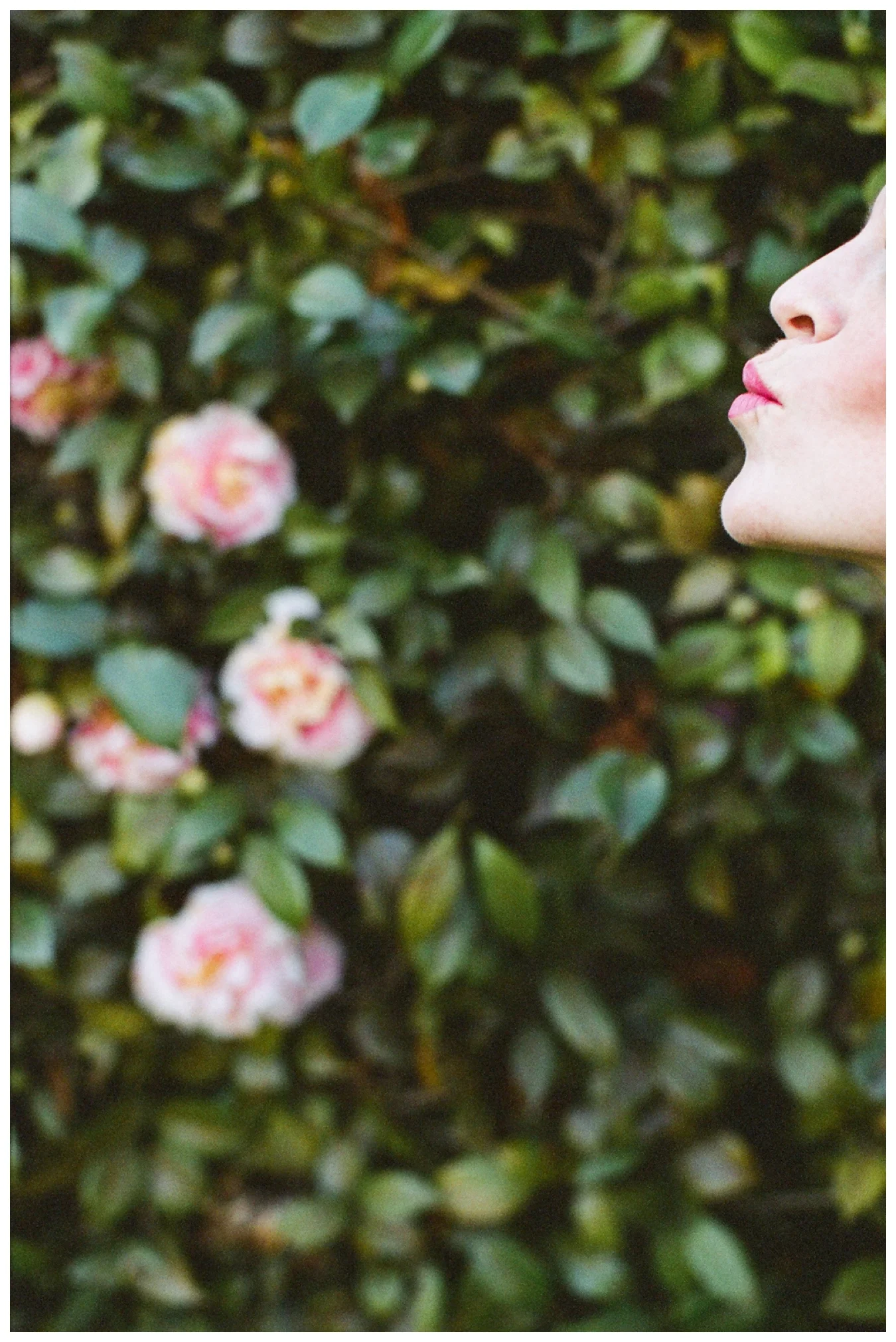 los angeles maternity photos