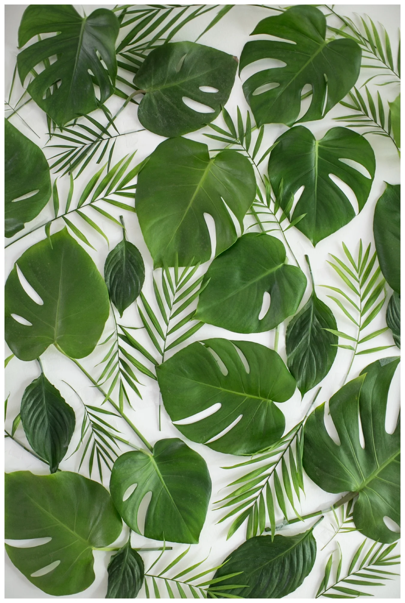 lily glass for almost makes perfect | spring floral background