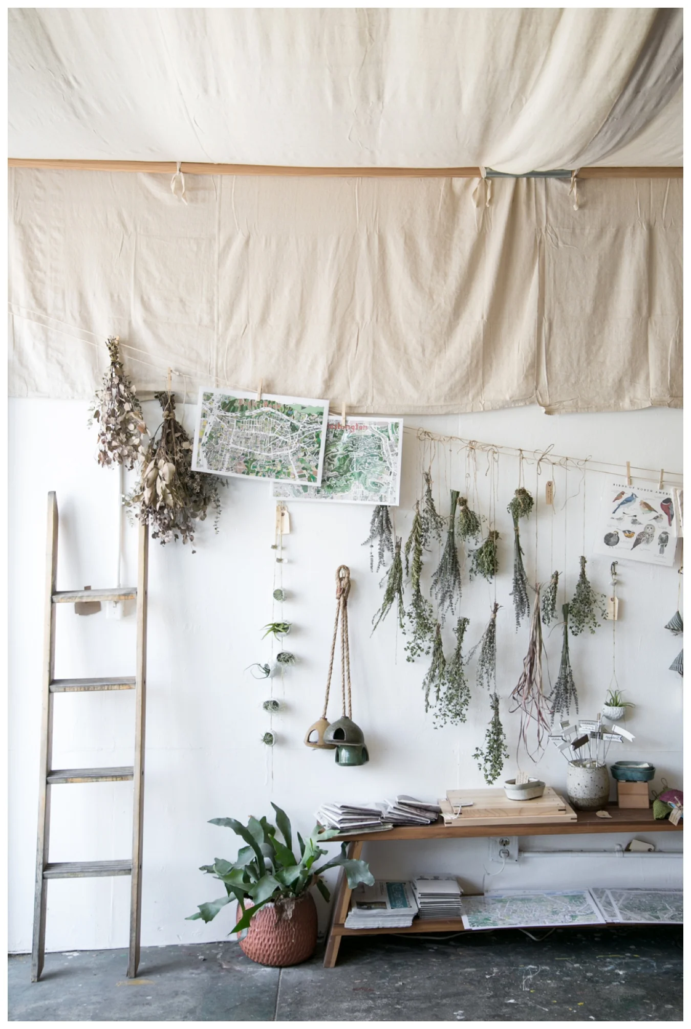 lily glass interiors for sf girl by bay | around l.a.