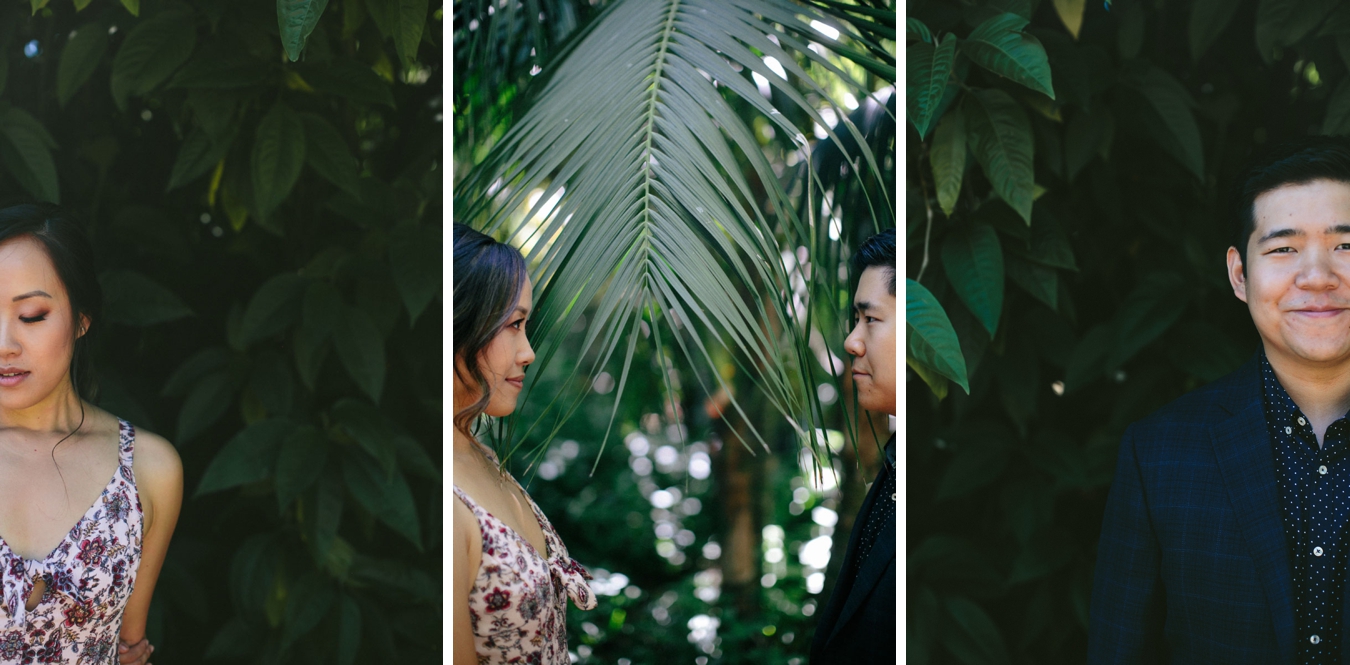  los angeles arboretum engagement session 