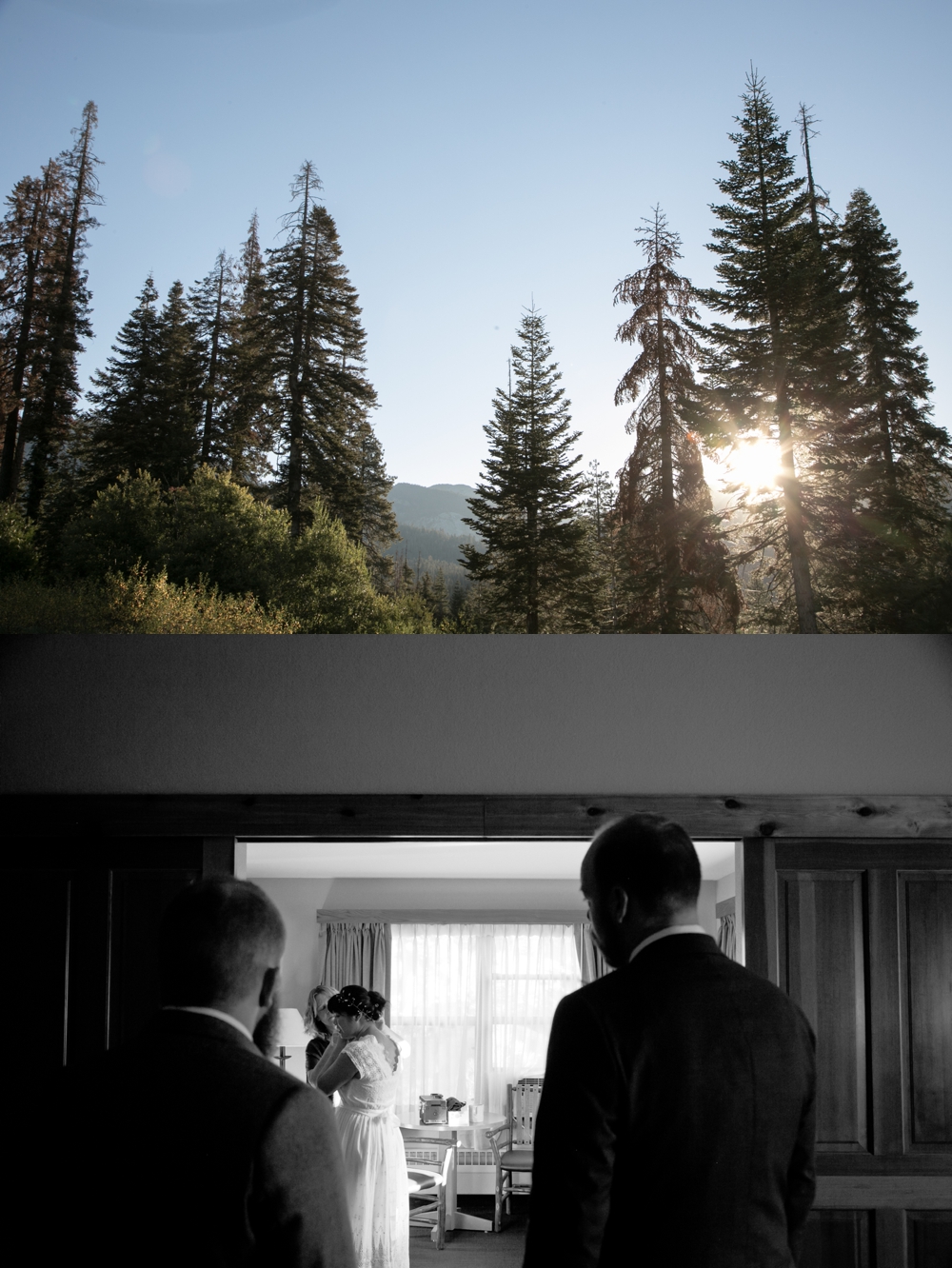  intimate brunch wedding sequoia national park elopement photography 