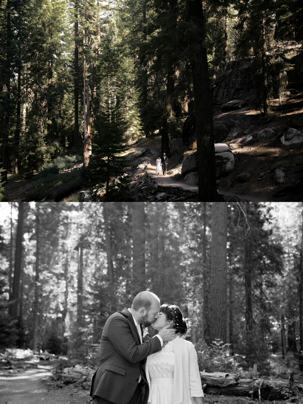 IntimateSequoiaParkWedding_008.jpg