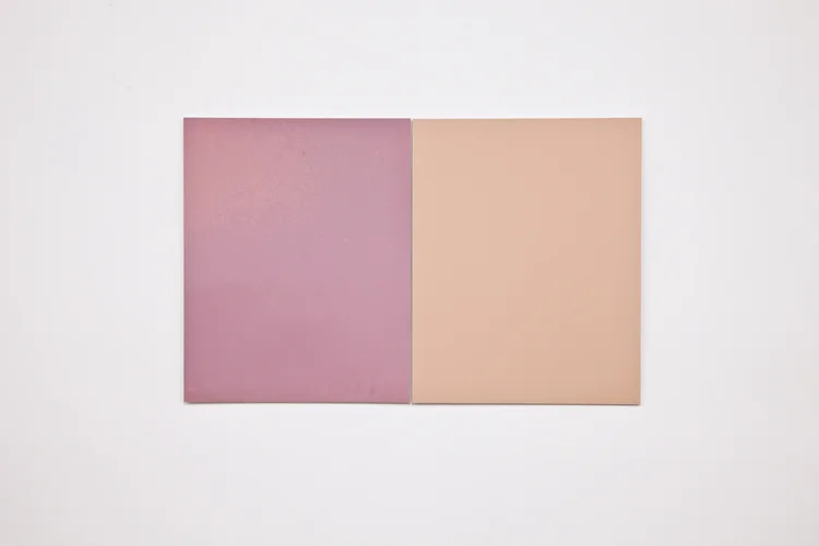Alex Perweiler Italian Chameleon 2012 2 found Unprocessed c-prints mounted to aluminum 20 x 32 inches