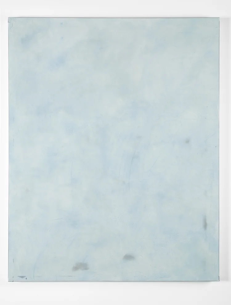 Harry2012Oil, sheetrock, joint compound, wood and corner bead60 x 48 inches