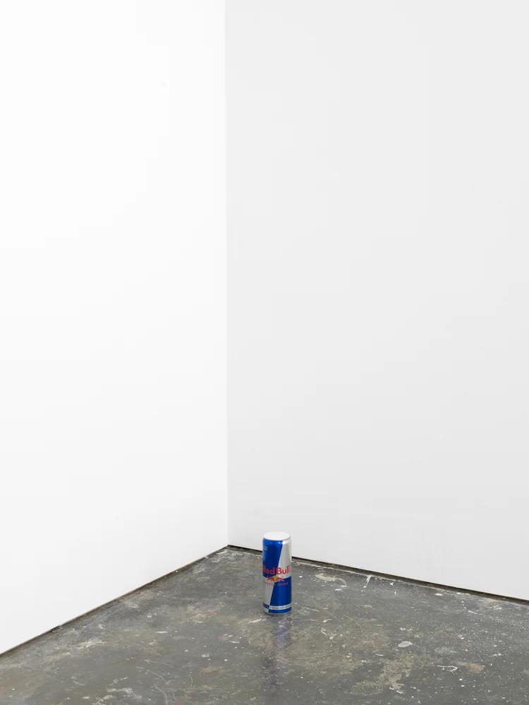 RedBull Without a Cause2012RedBull can and plasterDimensions variable
