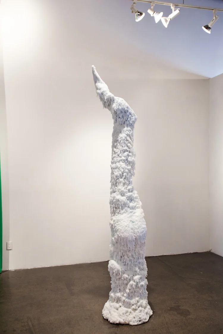 Jane MoseleyDork2011Wax, hair, expandable foam, chicken wire81 x 24 inches