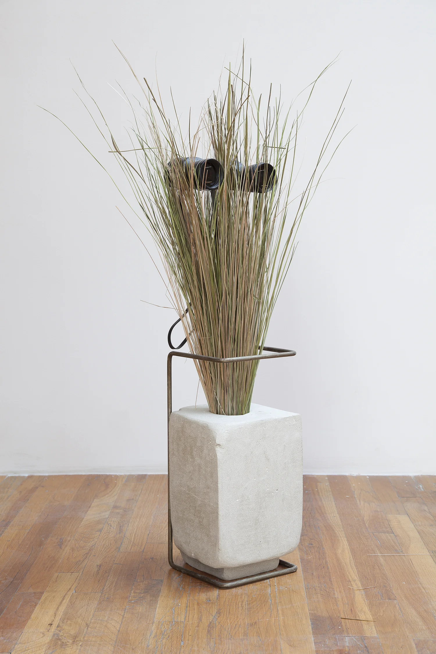 Face Off (Bird Watcher) 2013 Binoculars, grass, concrete and steel Dimensions variabl