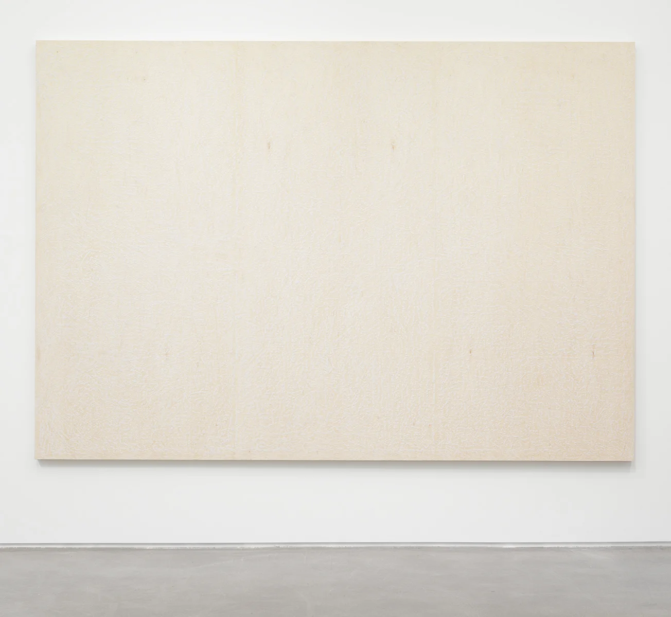 Brendan Lynch Da Bull 2013 Surf wax on wood panel 84 x 120 inches