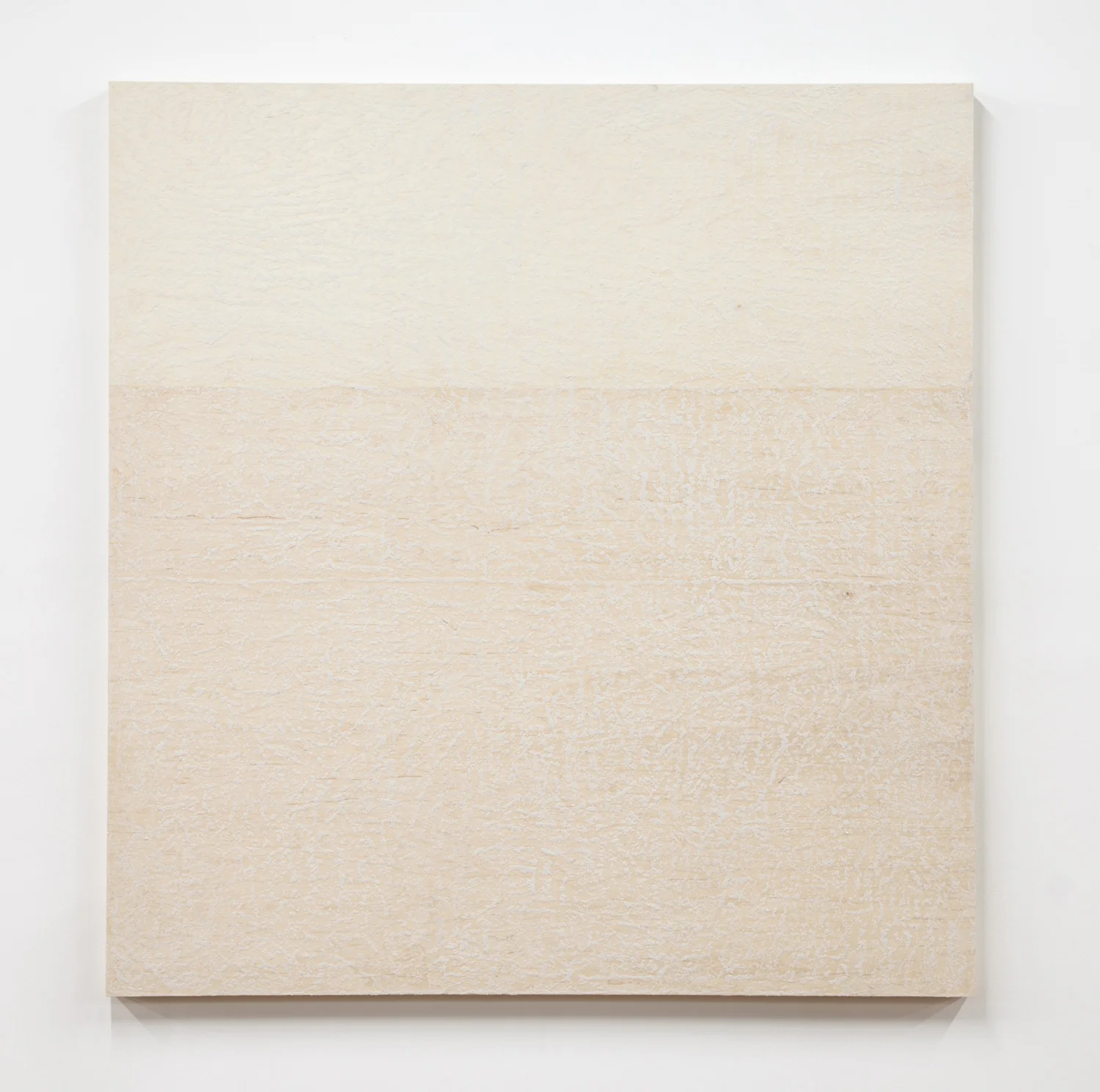 Brendan Lynch&nbsp; Regular Feet 2013 Surf wax on wood panel&nbsp; 60 x 57 inches&nbsp;