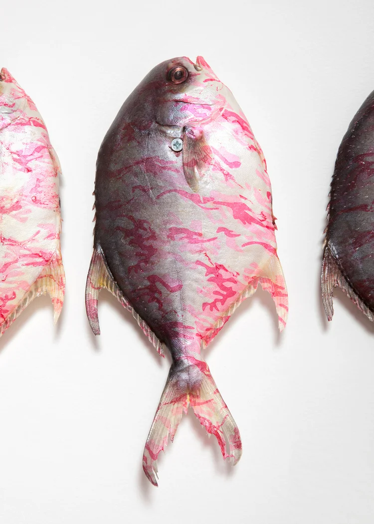 P.H.I.S.H Pink Hydrographic Integrated Fish (Detail) 2013 Piranha, hydrographic, nails