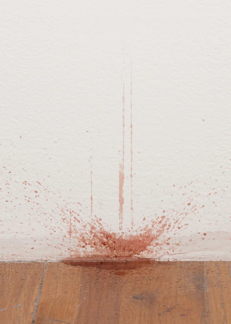 P.H.I.S.H Pink Hydrographic Integrated Fish (Detail) 2013 Piranha, hydrographic, nails