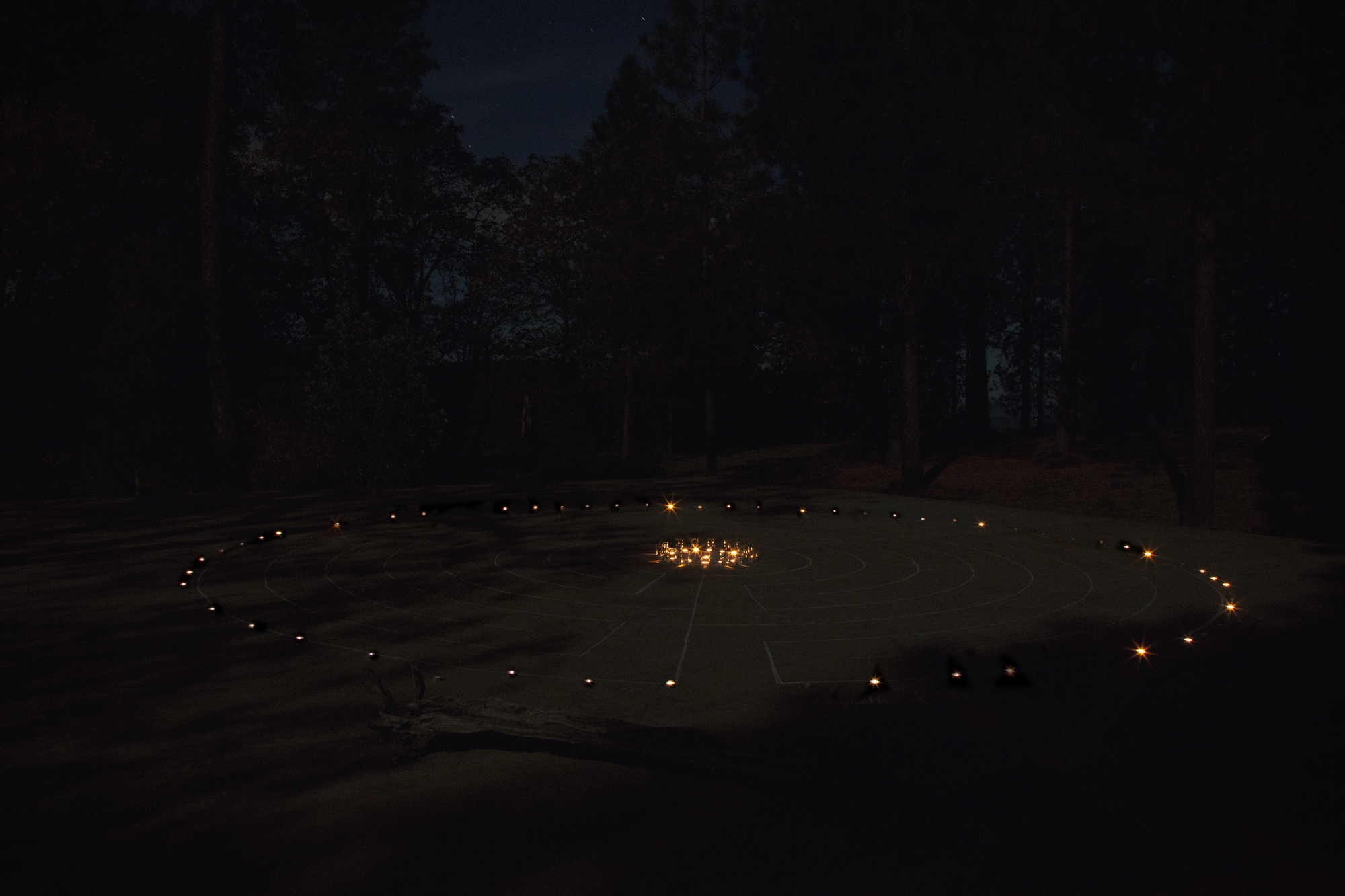 Labyrinth of Love and Loss (2014)