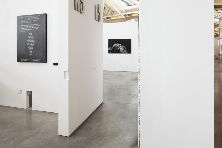 View from the corridor with one of my Comet 67P drawings (center). 