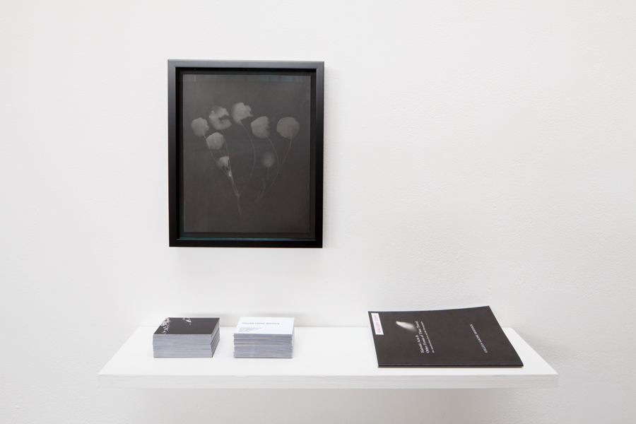 My written thesis was available for viewing by the entrance to the gallery. 
