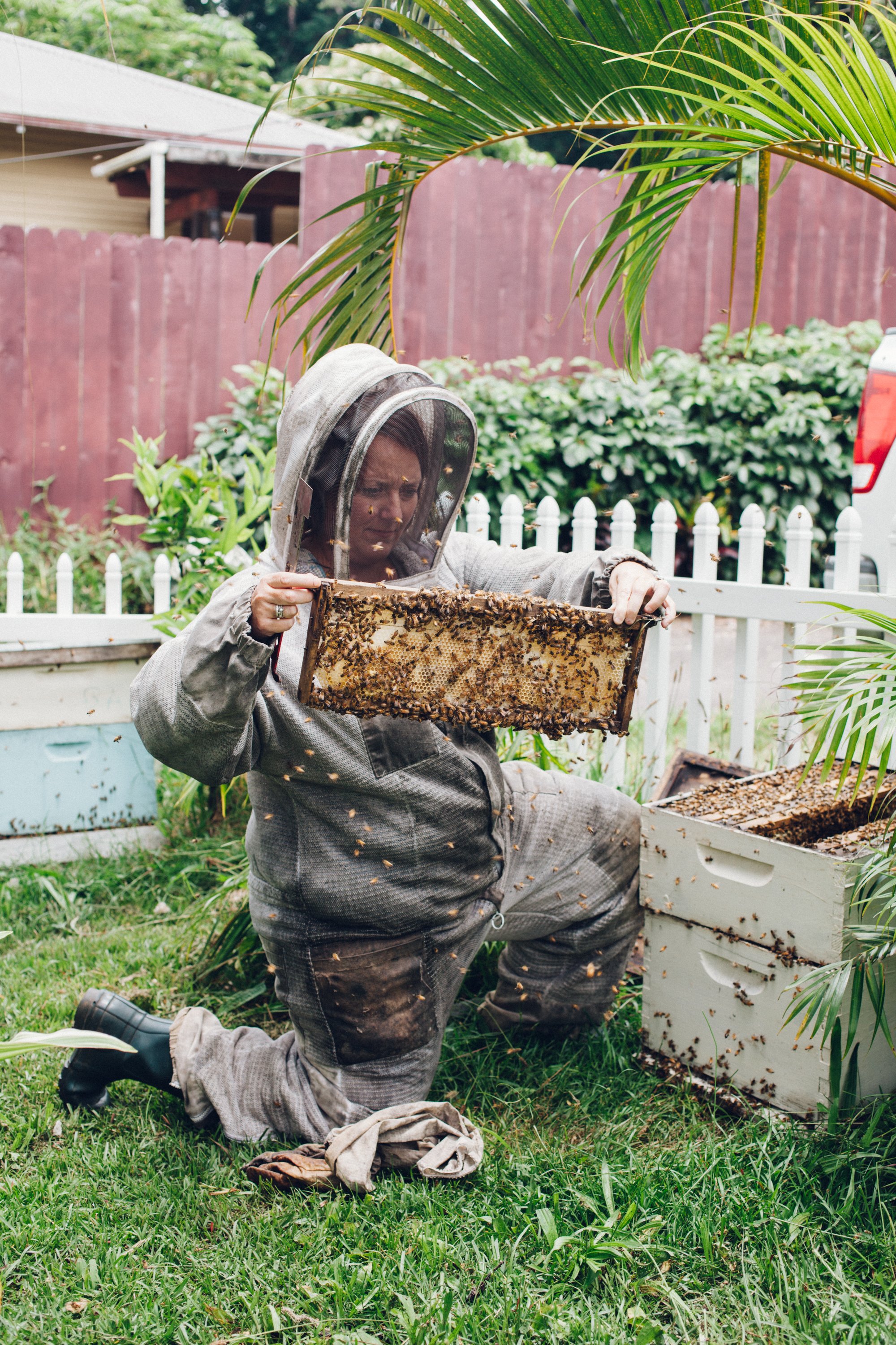 BeekeeperNourish-1.jpg