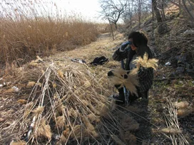 me and phragmites!.jpg