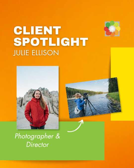 Client Spotlight: Julie Ellison