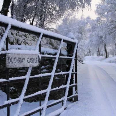 snowy gate.jpg
