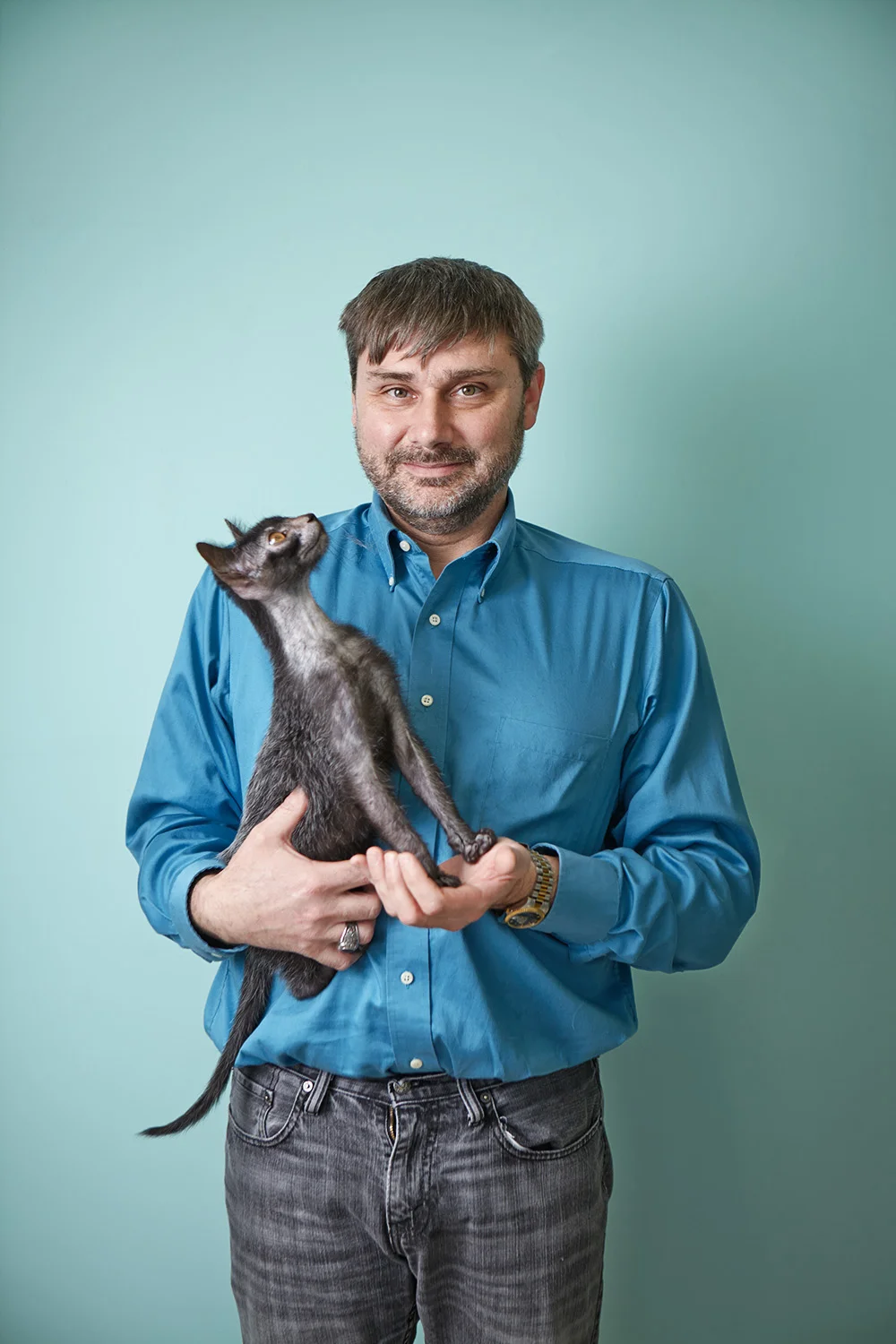 blue heeler australian cattle dog puppy