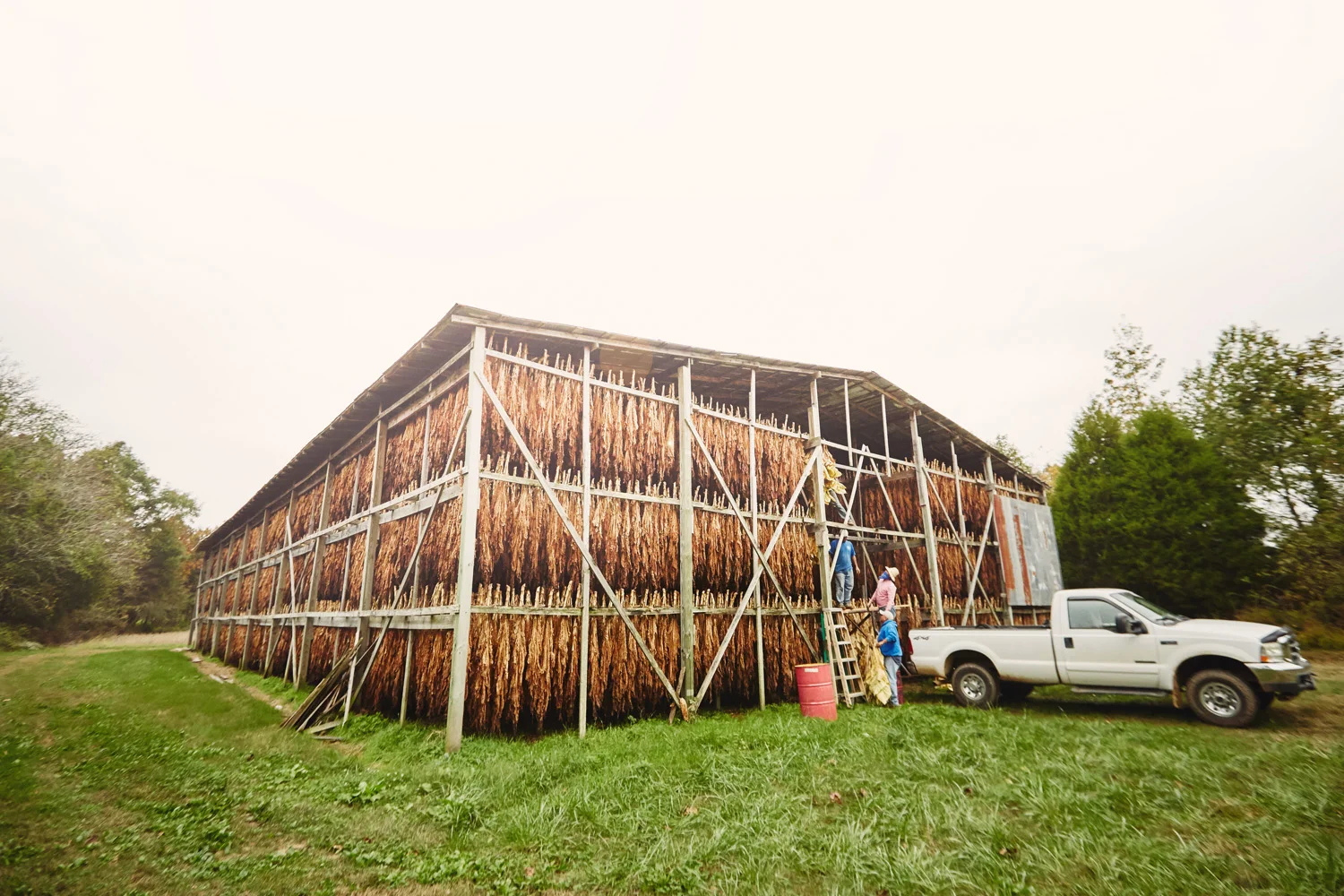 GAP_KY_01478.jpg