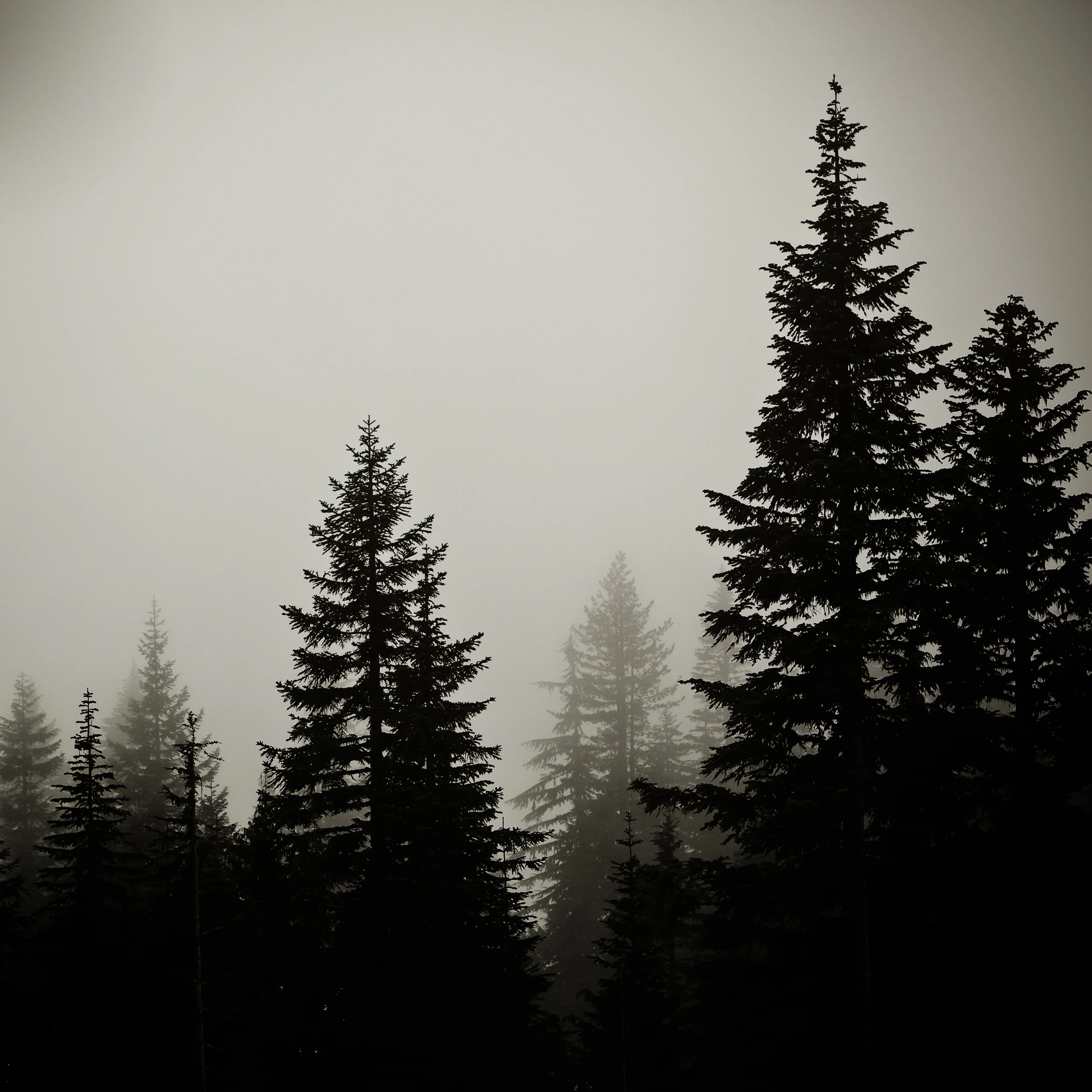 _MG_0721.jpg