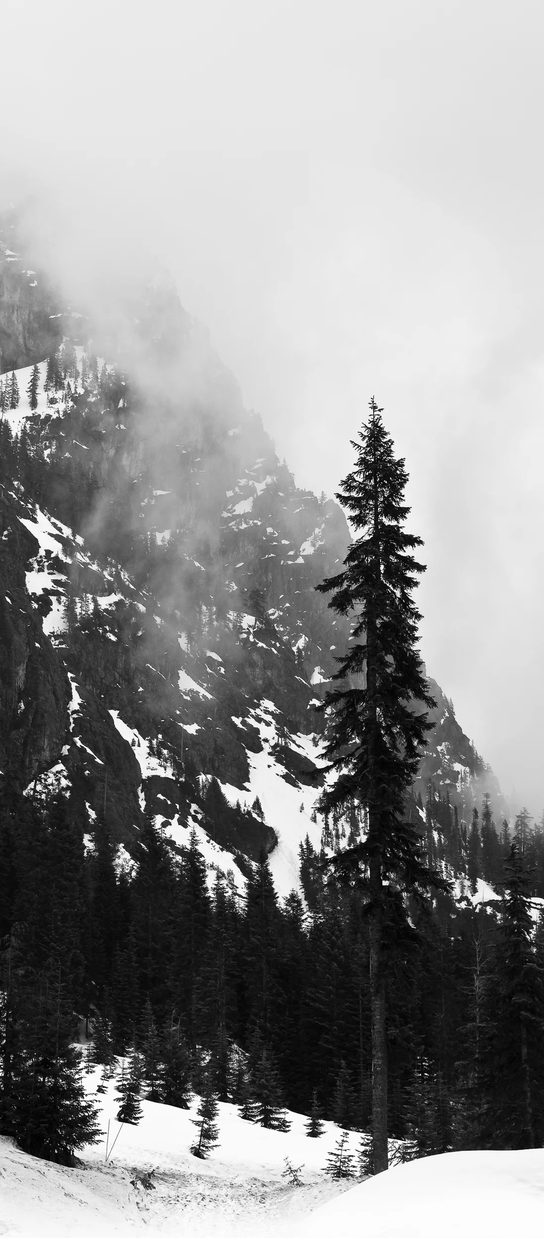 _MG_0924.jpg