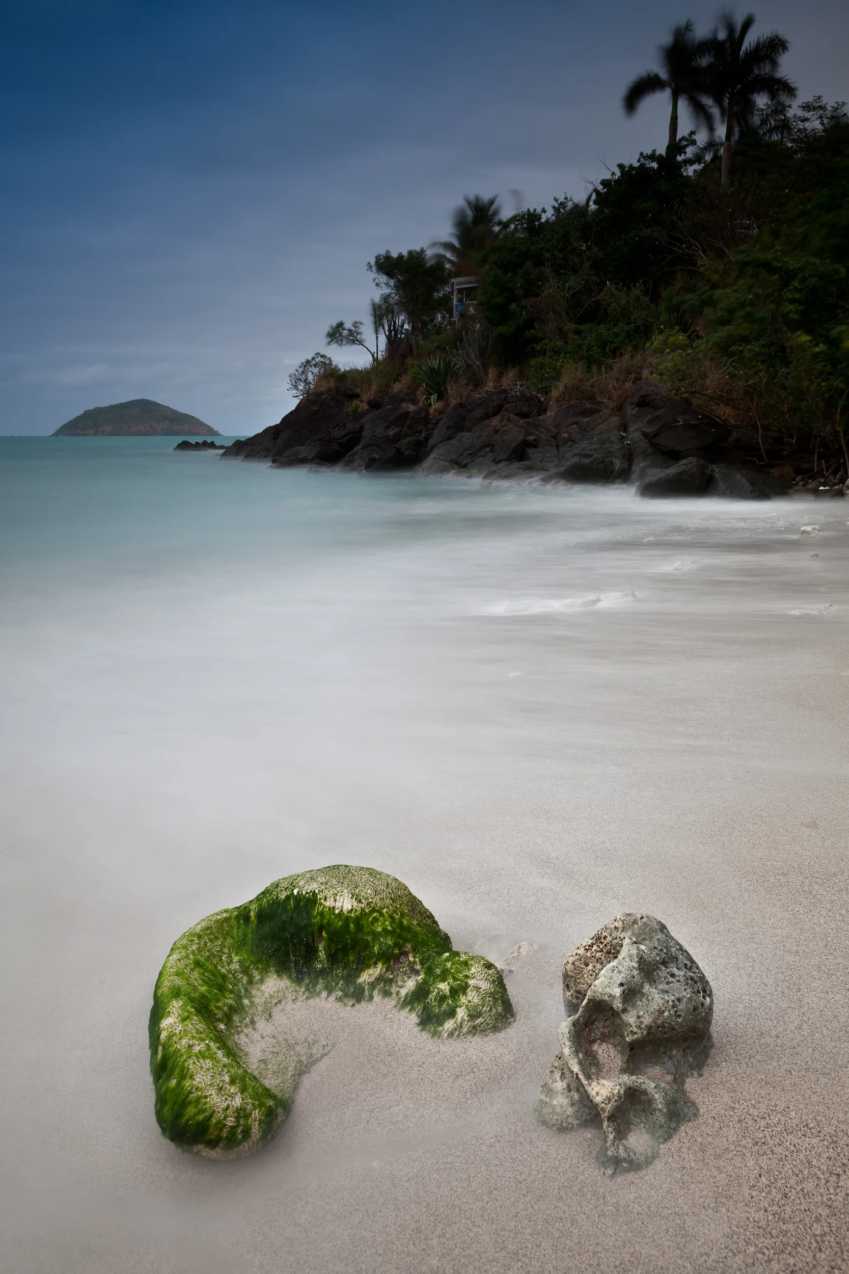 _MG_6095.jpg