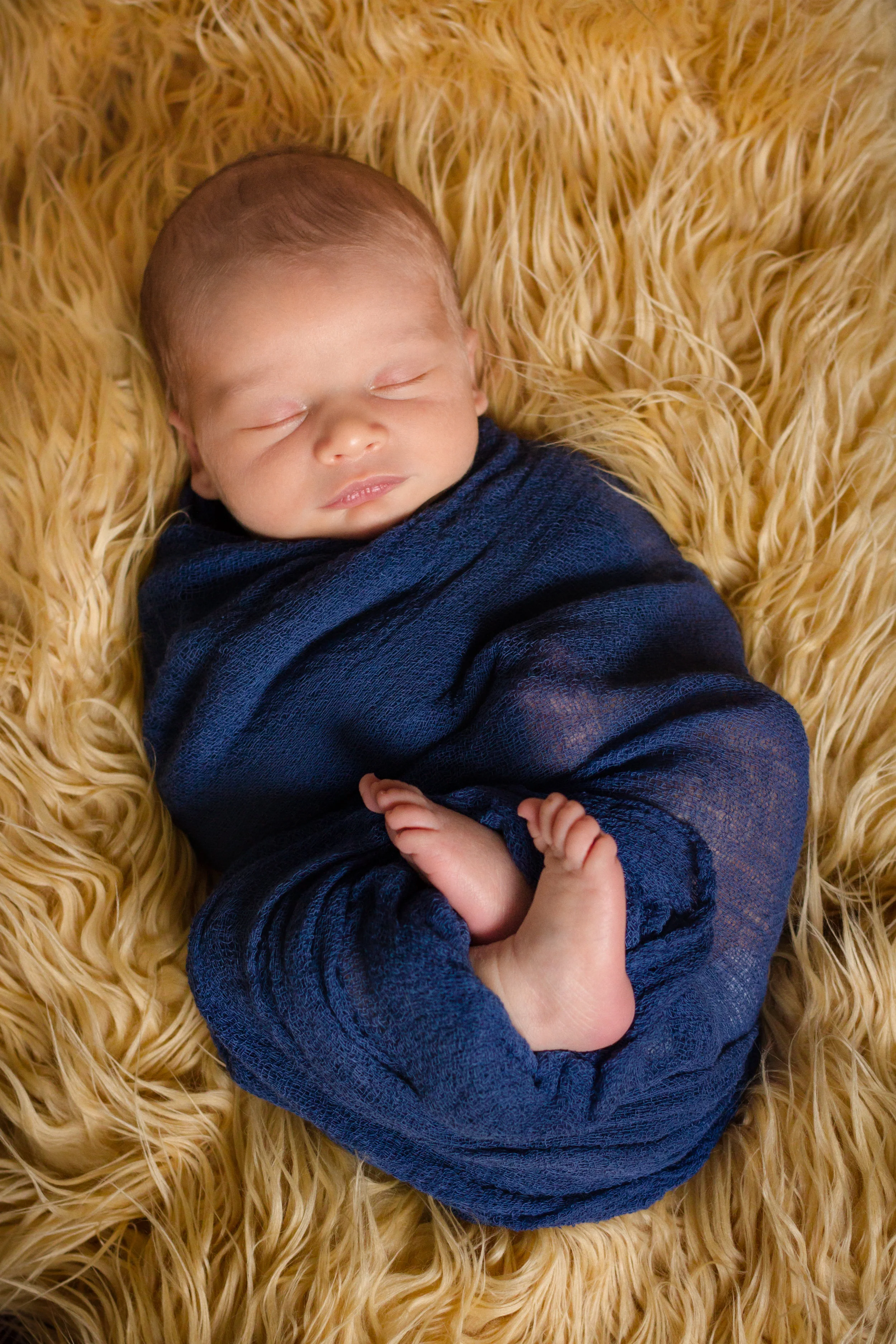 IMG_1896-Edit-Edit.jpg