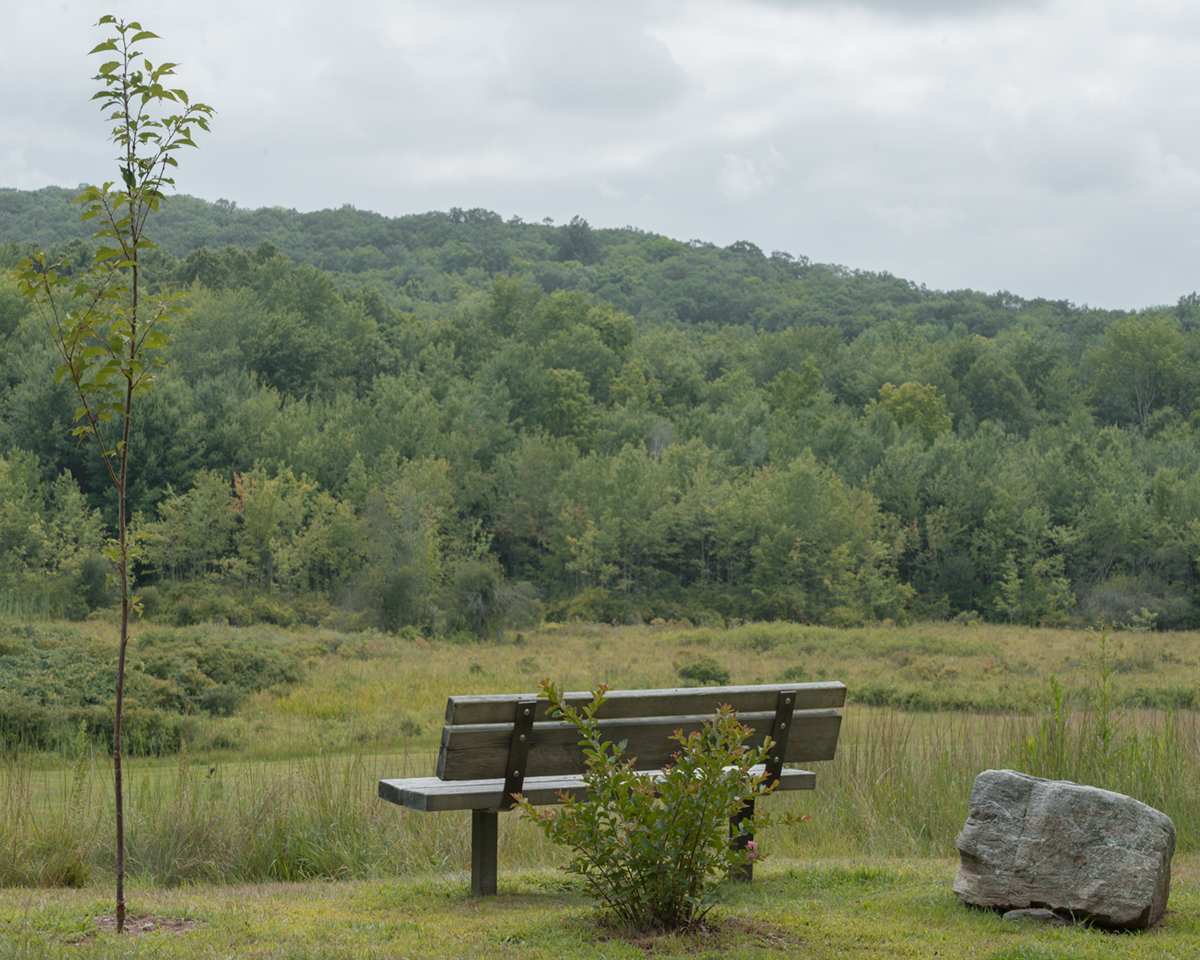 Pound ridge overlook.jpg