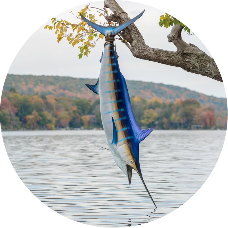 hanging fish final print.jpg