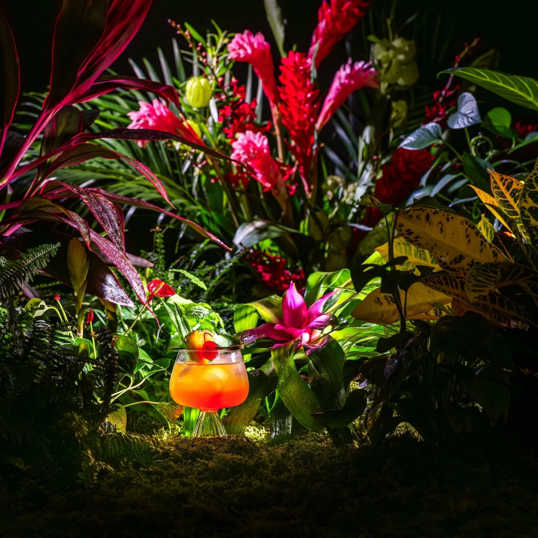 122023_Hawaiian_Cocktails_Photo_Tom_Arena_Styling_Monica_Simon_Final.jpg
