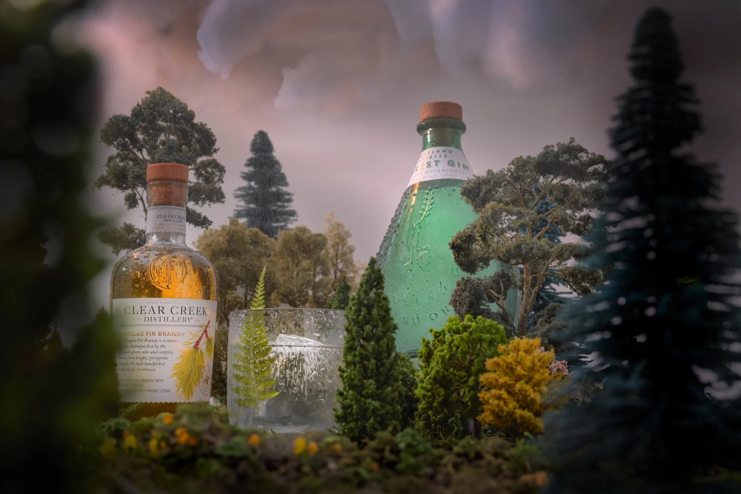 112024_Forest_Spirits_Spread3_Tom_Arena_Final.jpg