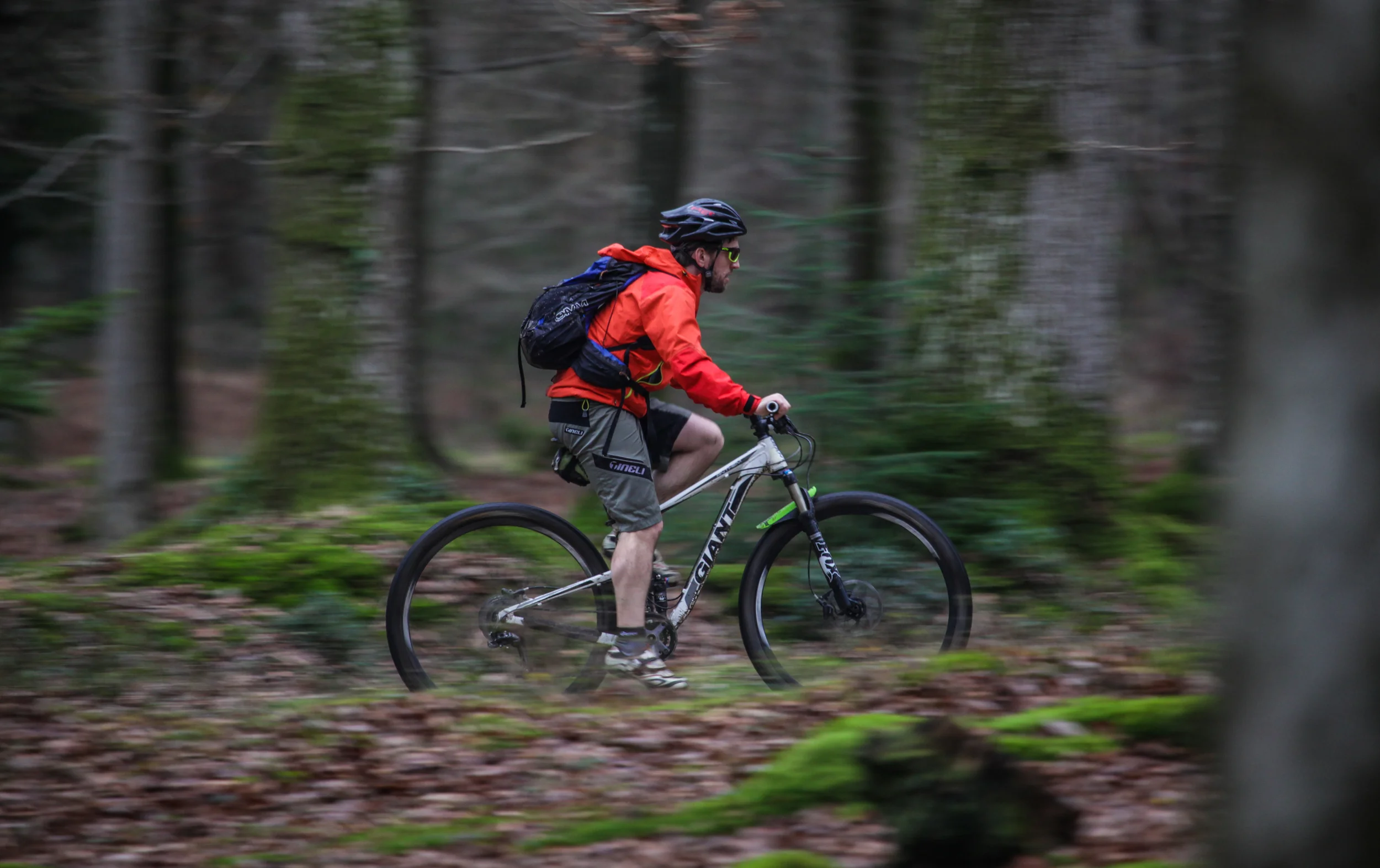 Great British MINI Adventure Day 14 - MTN Biking in the New Forest