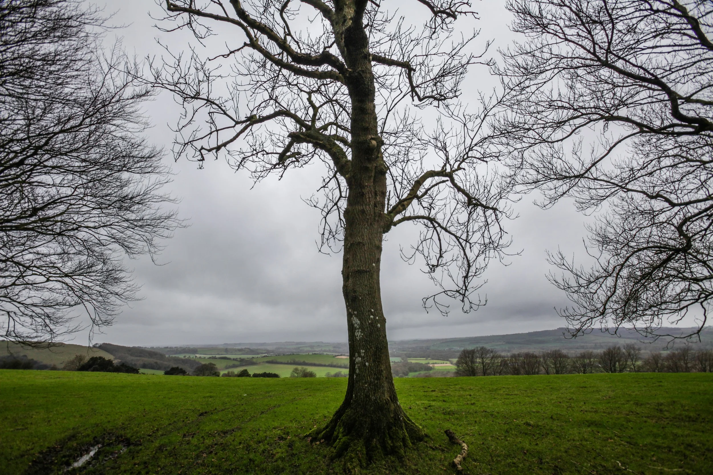 Great British MINI Adventure Day 15 - Geocaching in the South Downs
