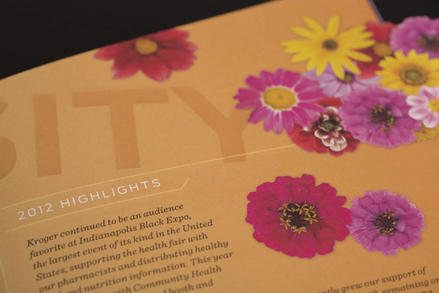 BrilliantFox_PrintCollateral_054.jpg